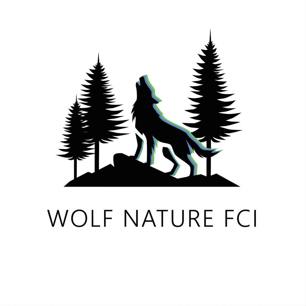 Logotyp