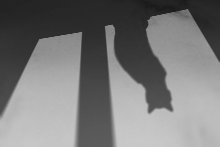 Cienie i odbicia w fotografii – jak je kontrolować, żeby tworzyć wyjątkowe zdjęcia?